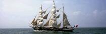 Belem © Philip Plisson / Plisson La Trinité / AA17056 - Photo Galleries - Tall ship / Sailing ship