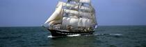 Belem © Philip Plisson / Plisson La Trinité / AA17057 - Photo Galleries - Three-masted ship