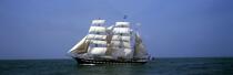 Belem © Philip Plisson / Plisson La Trinité / AA17058 - Photo Galleries - Tall ship / Sailing ship
