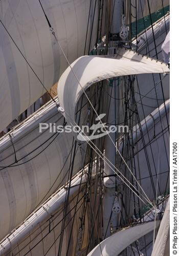 Belem - © Philip Plisson / Plisson La Trinité / AA17060 - Photo Galleries - Sails