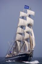 Belem © Philip Plisson / Plisson La Trinité / AA17062 - Photo Galleries - Tall ship / Sailing ship