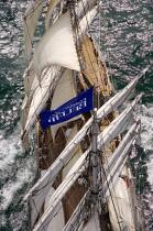 Belem © Philip Plisson / Plisson La Trinité / AA17069 - Photo Galleries - Three-masted ship