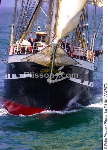 Belem - © Philip Plisson / Plisson La Trinité / AA17072 - Photo Galleries - Three-masted ship