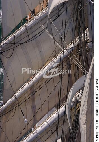 Belem - © Philip Plisson / Plisson La Trinité / AA17075 - Photo Galleries - Three-masted ship