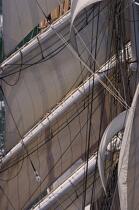 Belem © Philip Plisson / Plisson La Trinité / AA17075 - Photo Galleries - Tall ship / Sailing ship