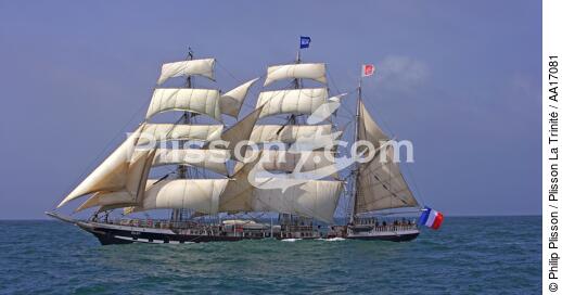 Belem - © Philip Plisson / Plisson La Trinité / AA17081 - Photo Galleries - Tall ship / Sailing ship