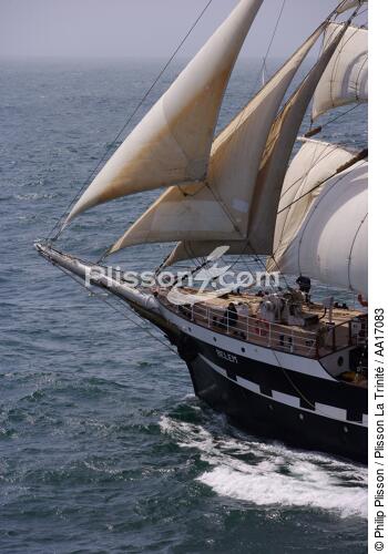 Belem - © Philip Plisson / Plisson La Trinité / AA17083 - Photo Galleries - Three-masted ship