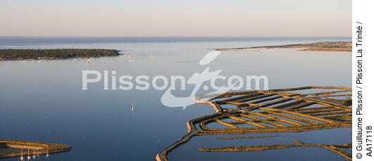 Les marais du Grand Garçon de l'ile de Ré - © Guillaume Plisson / Plisson La Trinité / AA17118 - Photo Galleries - Marshland