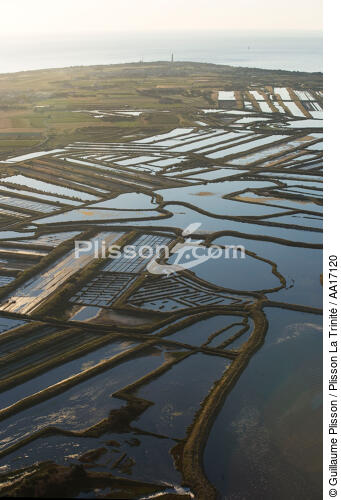 The marshes of the island of Ré - © Guillaume Plisson / Plisson La Trinité / AA17120 - Photo Galleries - Salt production