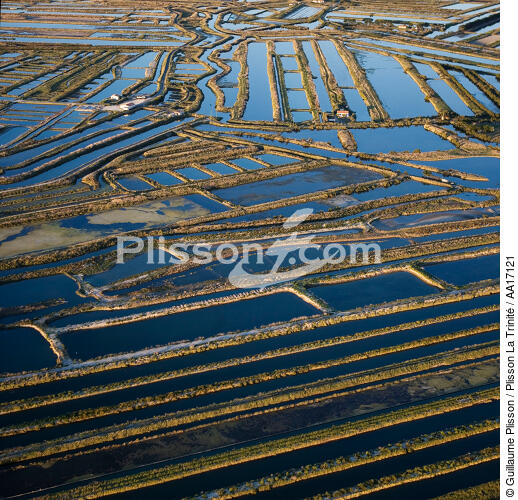 The marshes of the island of Ré - © Guillaume Plisson / Plisson La Trinité / AA17121 - Photo Galleries - Salt production