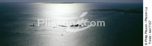 Contre jour sur le phare des Cardinaux. - © Philip Plisson / Plisson La Trinité / AA17157 - Nos reportages photos - Phare [56]