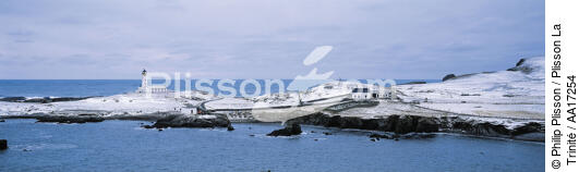 Fair Island en Ecosse. - © Philip Plisson / Plisson La Trinité / AA17254 - Nos reportages photos - Shetlands [Ile des]
