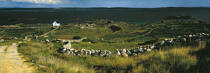 Stones and peat Carna © Philip Plisson / Plisson La Trinité / AA17279 - Photo Galleries - Ireland, the green island