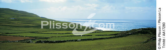Grande Blasket - © Philip Plisson / Plisson La Trinité / AA17280 - Nos reportages photos - Irlande, l'île verte