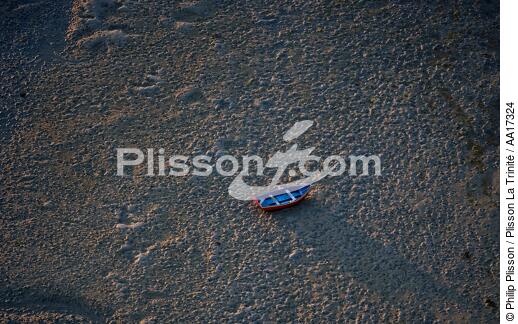 Golfe Du Morbihan - © Philip Plisson / Plisson La Trinité / AA17324 - Photo Galleries - Low tide