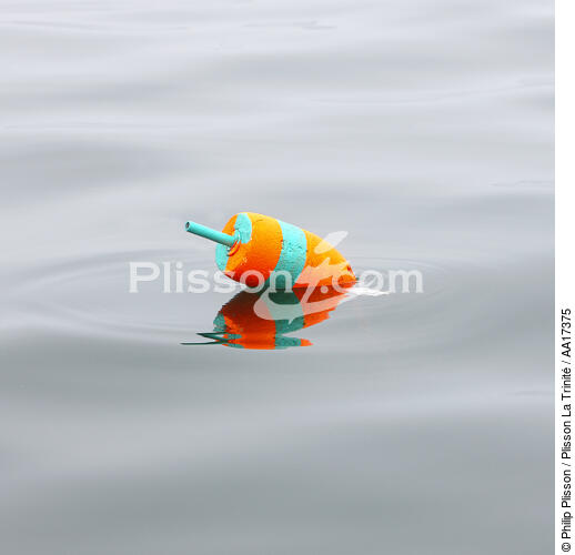 Buoy. - © Philip Plisson / Plisson La Trinité / AA17375 - Photo Galleries - Sea decoration