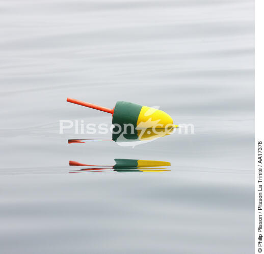 Buoy. - © Philip Plisson / Plisson La Trinité / AA17378 - Photo Galleries - Sea decoration