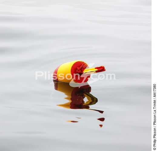 Buoy. - © Philip Plisson / Plisson La Trinité / AA17380 - Photo Galleries - New England
