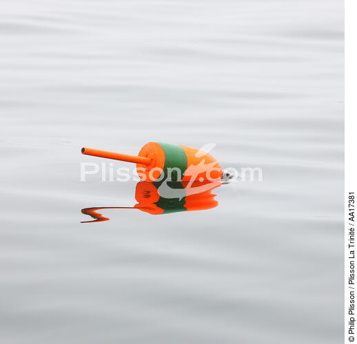Buoy. - © Philip Plisson / Plisson La Trinité / AA17381 - Photo Galleries - Maine