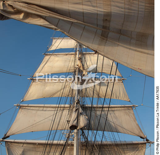 The Belem, all sails out. - © Philip Plisson / Plisson La Trinité / AA17635 - Photo Galleries - Three-masted ship
