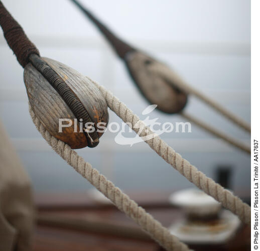 The Belem. - © Philip Plisson / Plisson La Trinité / AA17637 - Photo Galleries - Tall ship / Sailing ship