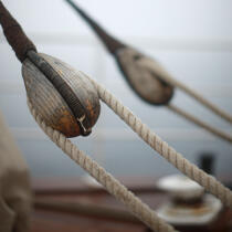 The Belem. © Philip Plisson / Plisson La Trinité / AA17637 - Photo Galleries - Tall ship / Sailing ship