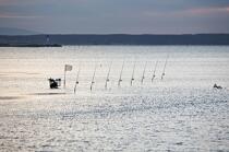 Pêche a la ligne dans le chenal de Port Napoléon © Philip Plisson / Plisson La Trinité / AA17693 - Nos reportages photos - Camargue