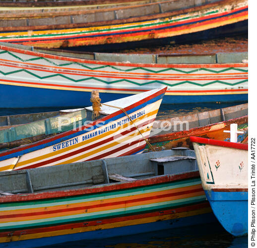 Barques à Vilinjam en Inde - © Philip Plisson / Plisson La Trinité / AA17722 - Nos reportages photos - Format carré