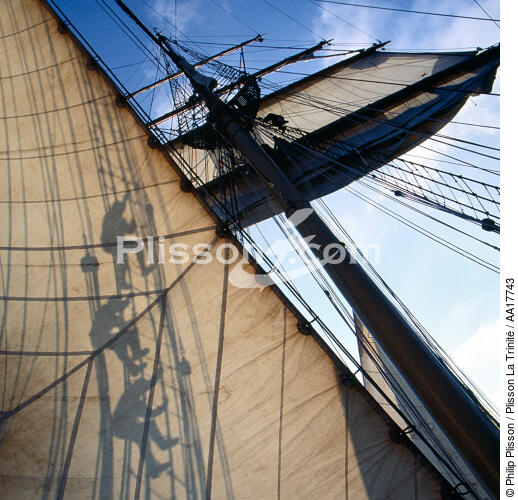Dans les voiles de l'Esmeralda. - © Philip Plisson / Pêcheur d’Images / AA17743 - Nos reportages photos - Les grands voiliers