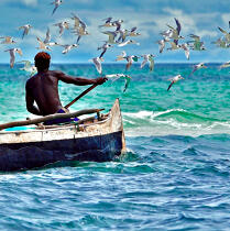 Fishing Malagasy © Philip Plisson / Plisson La Trinité / AA17749 - Photo Galleries - Rowing boat