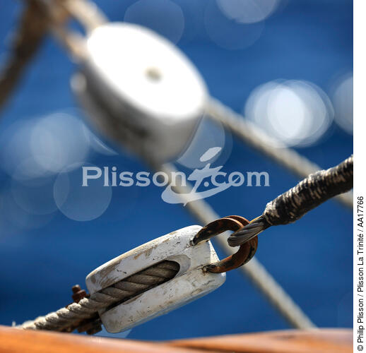 in board of Belem. - © Philip Plisson / Plisson La Trinité / AA17766 - Photo Galleries - Ropes and rigging