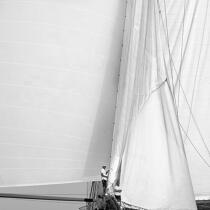In the sails. © Guillaume Plisson / Plisson La Trinité / AA17774 - Photo Galleries - Black and white