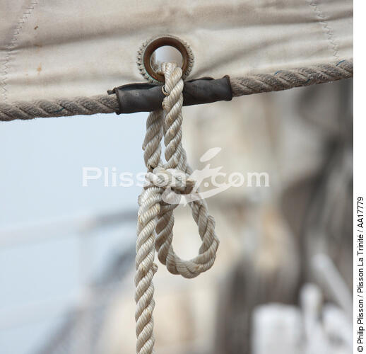 Rigging - © Philip Plisson / Plisson La Trinité / AA17779 - Photo Galleries - Belem [The]