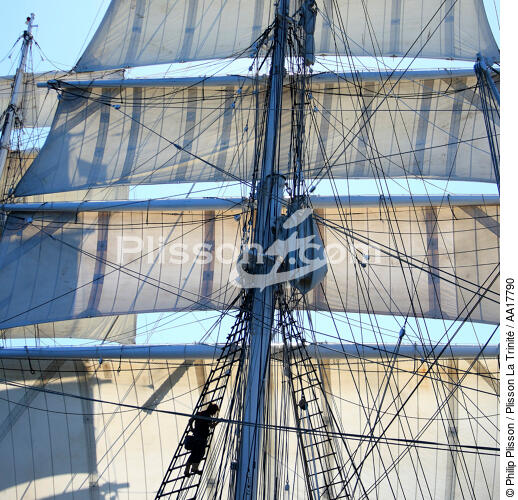 In the mast of Belem. - © Philip Plisson / Plisson La Trinité / AA17790 - Photo Galleries - Three-masted ship