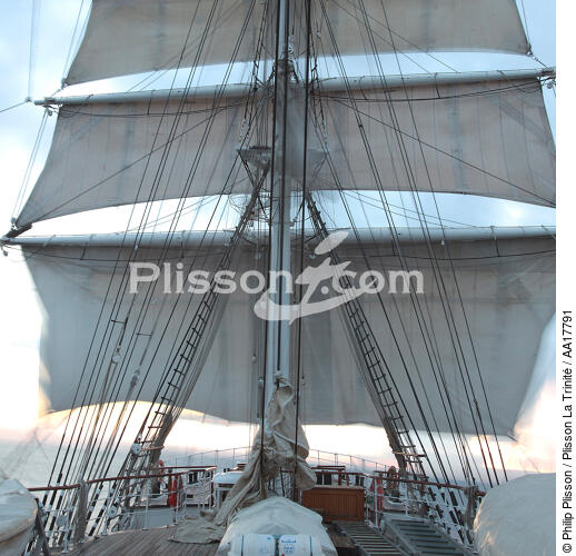 In the mast of Belem. - © Philip Plisson / Plisson La Trinité / AA17791 - Photo Galleries - Masts