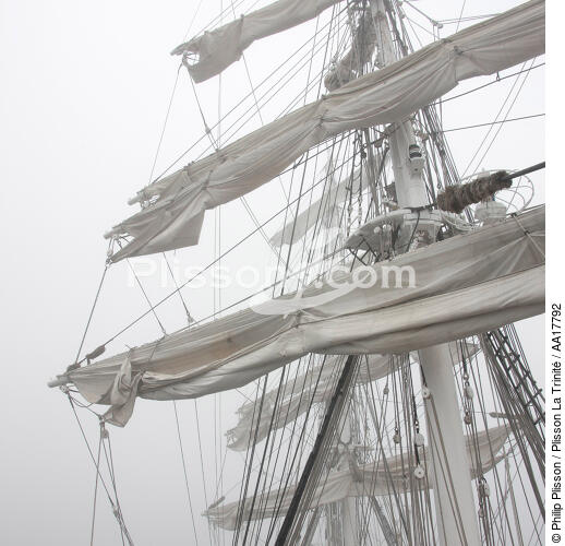 In the mast of Belem. - © Philip Plisson / Plisson La Trinité / AA17792 - Photo Galleries - Elements of boat