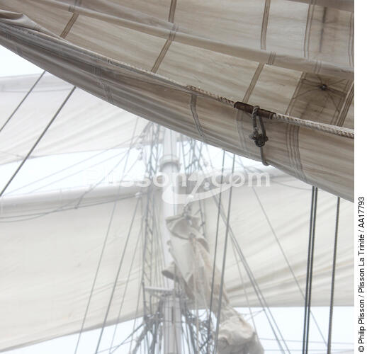 In the mast of Belem. - © Philip Plisson / Plisson La Trinité / AA17793 - Photo Galleries - Sea decoration