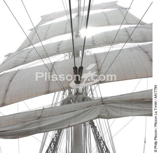 Dans la mâture du Belem. - © Philip Plisson / Plisson La Trinité / AA17794 - Nos reportages photos - Elément d'un bateau
