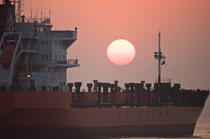 Strait of Gibraltar © Philip Plisson / Plisson La Trinité / AA17827 - Photo Galleries - Cargo ship