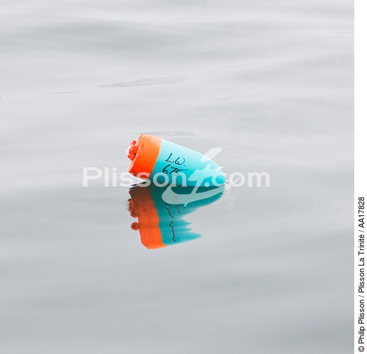 Buoy. - © Philip Plisson / Plisson La Trinité / AA17828 - Photo Galleries - United States [The]