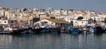 Tanger harbour © Philip Plisson / Plisson La Trinité / AA17853 - Photo Galleries - Town [Morocco]
