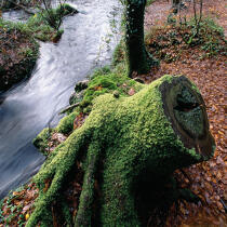 In the Huelgoat forest. © Philip Plisson / Plisson La Trinité / AA17912 - Photo Galleries - Hydrology
