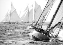 Les Voiles de Saint-Tropez. © Guillaume Plisson / Plisson La Trinité / AA17945 - Photo Galleries - Classic Yachting