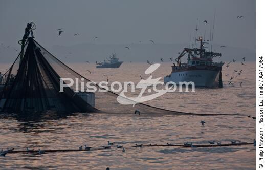 Pêche a la sardines au petit matin - © Philip Plisson / Plisson La Trinité / AA17964 - Nos reportages photos - Espagne