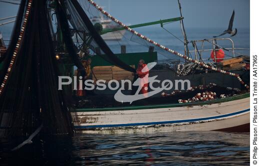 Pêche a la sardines au petit matin - © Philip Plisson / Plisson La Trinité / AA17965 - Nos reportages photos - Pêche à la senne