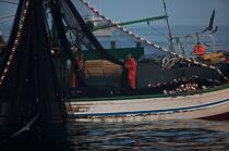 Pêche a la sardines au petit matin © Philip Plisson / Plisson La Trinité / AA17965 - Nos reportages photos - Pêche à la sardine
