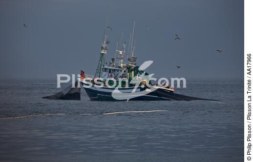 Pêche a la sardines au petit matin - © Philip Plisson / Plisson La Trinité / AA17966 - Nos reportages photos - Pêche à la sardine