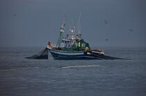 Pêche a la sardines au petit matin © Philip Plisson / Plisson La Trinité / AA17966 - Nos reportages photos - Pêche à la senne