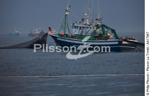 Pêche a la sardines au petit matin - © Philip Plisson / Plisson La Trinité / AA17967 - Nos reportages photos - Pêcheur