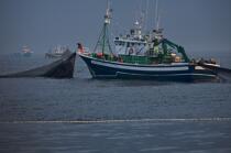 Pêche a la sardines au petit matin © Philip Plisson / Plisson La Trinité / AA17967 - Nos reportages photos - Pêche à la sardine